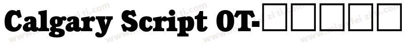 Calgary Script OT字体转换